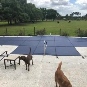 Yard Guard Blue Mesh Pool Cover #2