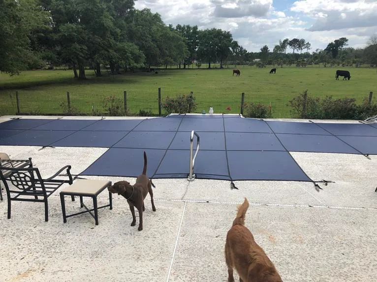 Yard Guard Blue Mesh Pool Cover #2